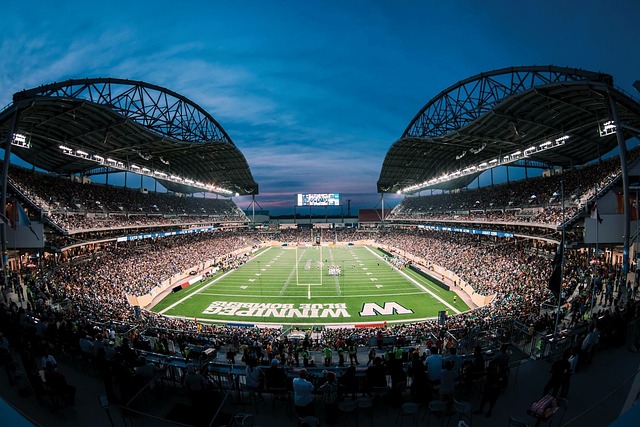 足球的整体 足球的整体