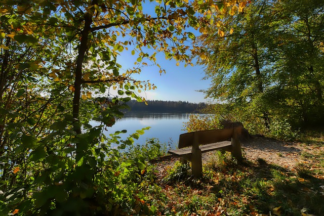 复到疫情之 复到疫情之