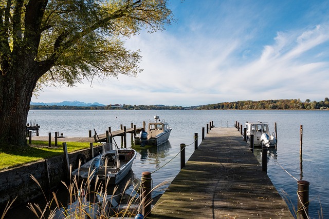 特朗普政府 特朗普政府