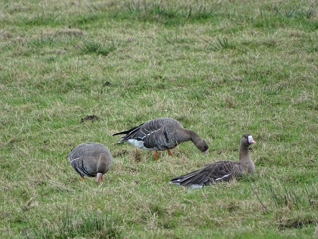 选手的心态 选手的心态