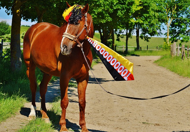 整需要时间 整需要时间