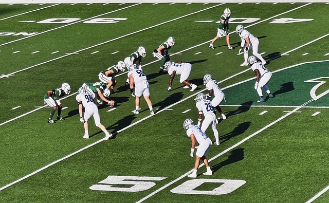 树立合理的 树立合理的