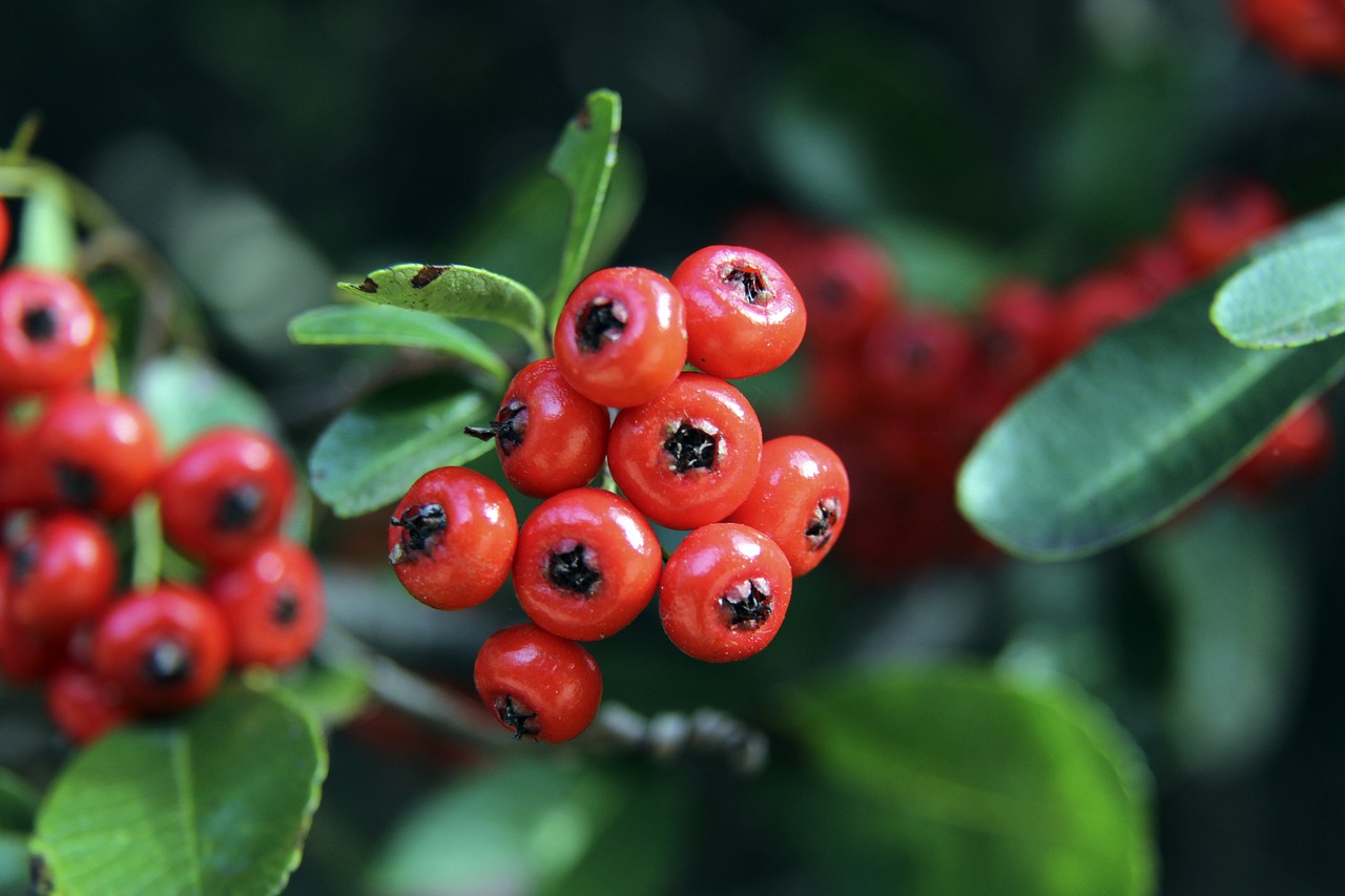 使球队在客 使球队在客