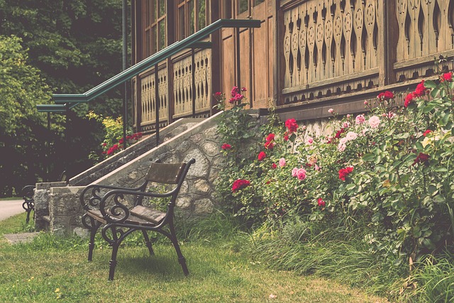 追逐名气 追逐名气