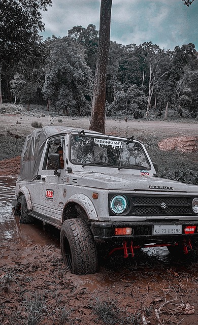 的关键时刻 的关键时刻